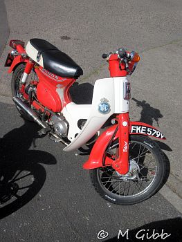 St George’s Day Show