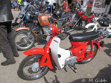 St George’s Day Show