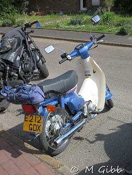 St George’s Day Show