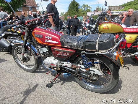 St George’s Day Show