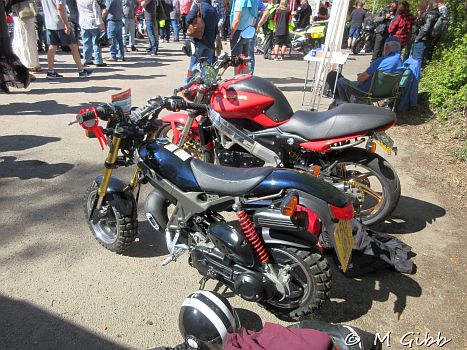 St George’s Day Show