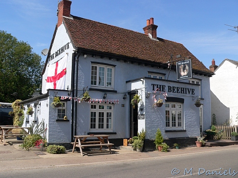 Periwinkle Run at Hare Street Beehive