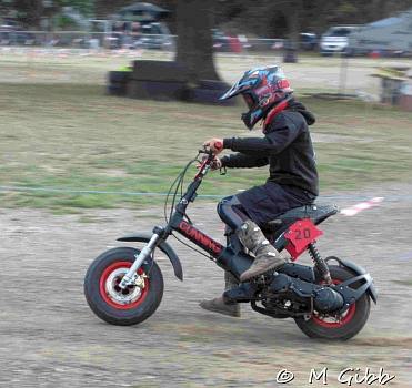 Copdock Show
