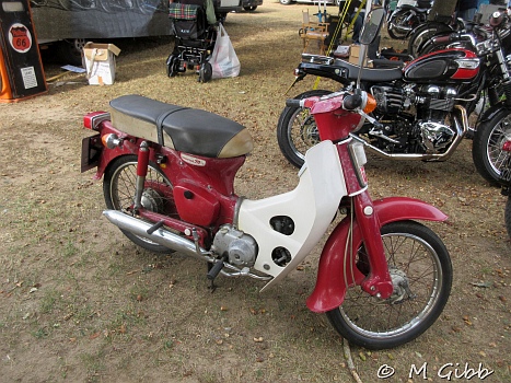 Copdock Show