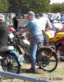 Club Cavalcade