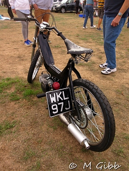 At Copdock Show