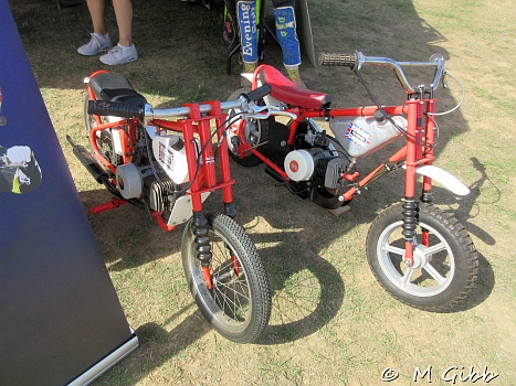 At Copdock Show