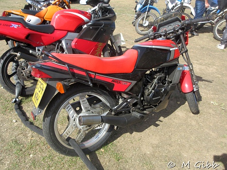 At Copdock Show