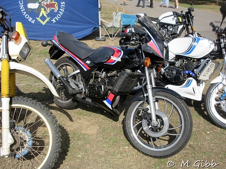 At Copdock Show