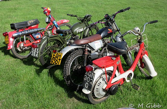 Henham Steam Rally