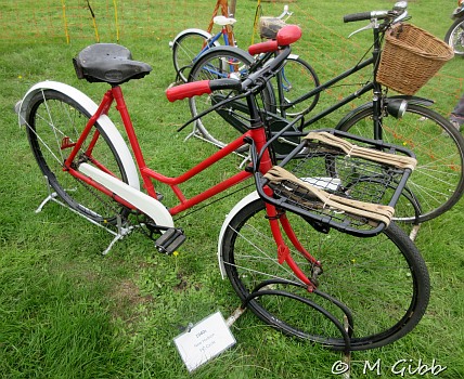 Henham Steam Rally
