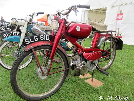 Henham Steam Rally