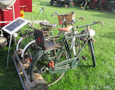 Henham Steam Rally