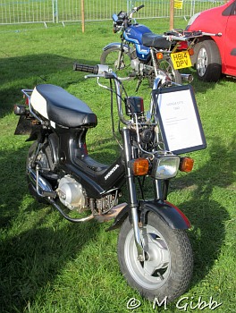 Henham Steam Rally