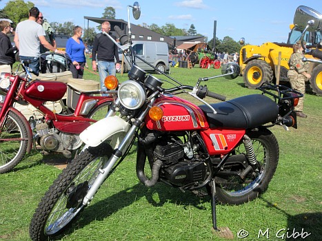 Henham Steam Rally
