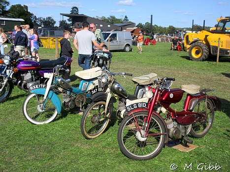 Henham Steam Rally