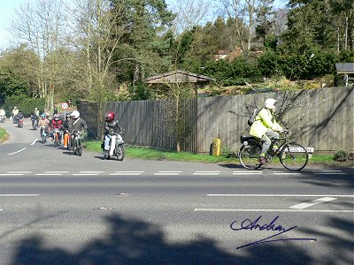 Mini-Motor leads a clump of mopeds