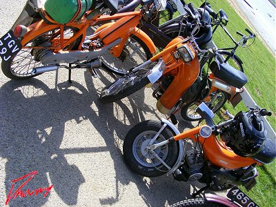 Orange mopeds of the world unite...