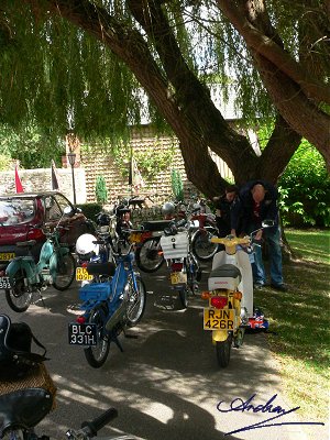 Mopeds under the trees