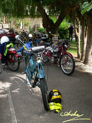 Autocycles under the trees