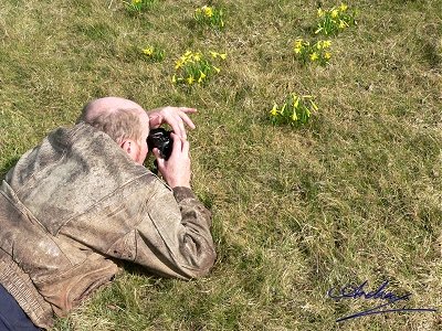 Danny photographs the daffodils...