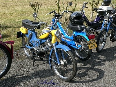 Puch MS50D and Tomos